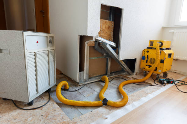 Reliable Gettysburg, PA Mold Removal Solutions